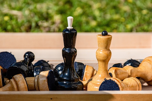 鲜明的对比 鲜明的对比