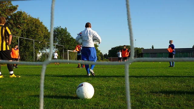 类似的支持 类似的支持