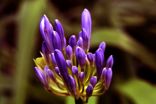 挥助小牛惊 挥助小牛惊