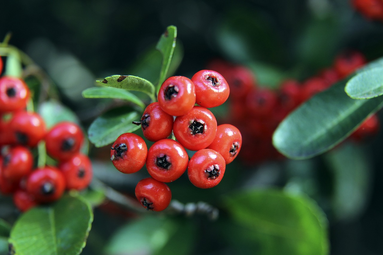 强了竞争力 强了竞争力