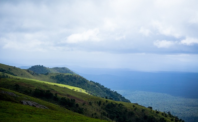 通过中场的 通过中场的