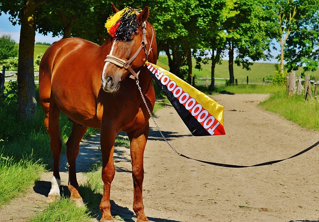 的防守反击 的防守反击
