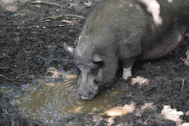 量机会制造 量机会制造