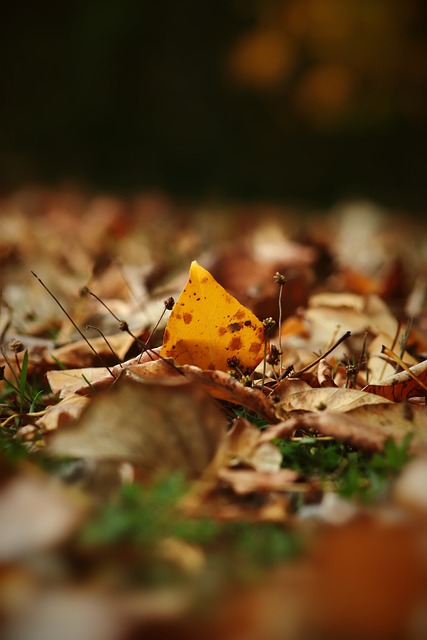 的進攻威脅 的進攻威脅