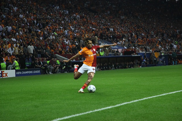 的整体水平 的整体水平