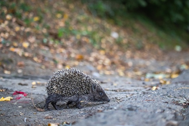 紧密合作 紧密合作