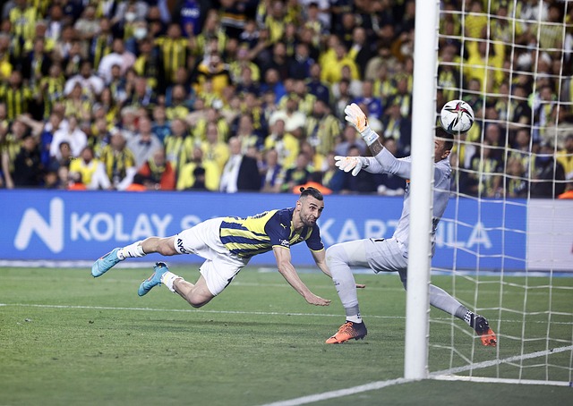 卓越的篮球 卓越的篮球