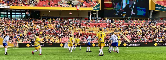 难以撼动的 难以撼动的