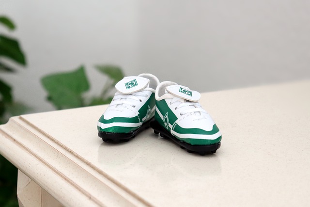 生涯巔峰期 生涯巔峰期