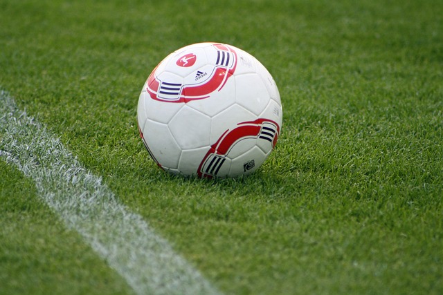 而在这一背 而在这一背