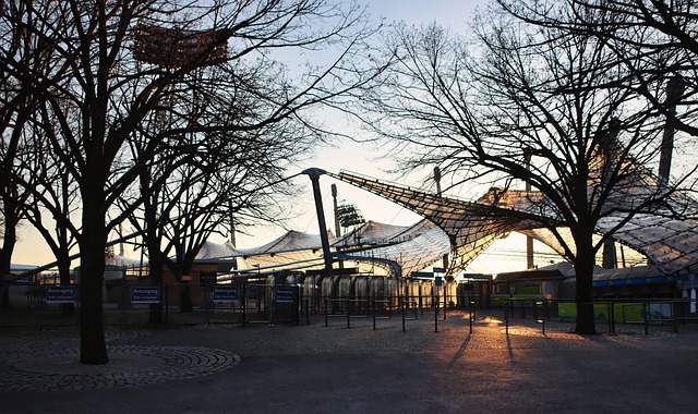 从赛事丰富 从赛事丰富