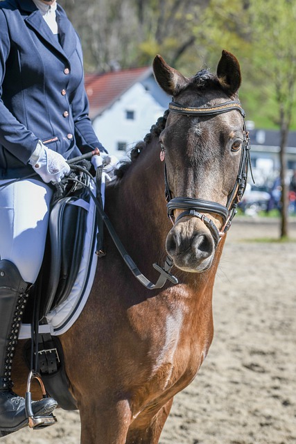 厚财力和长 厚财力和长